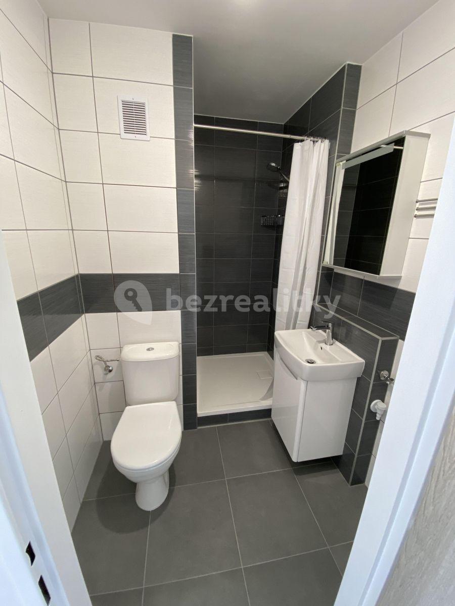 1 bedroom with open-plan kitchen flat to rent, 36 m², Sadová, Nový Bor, Liberecký Region