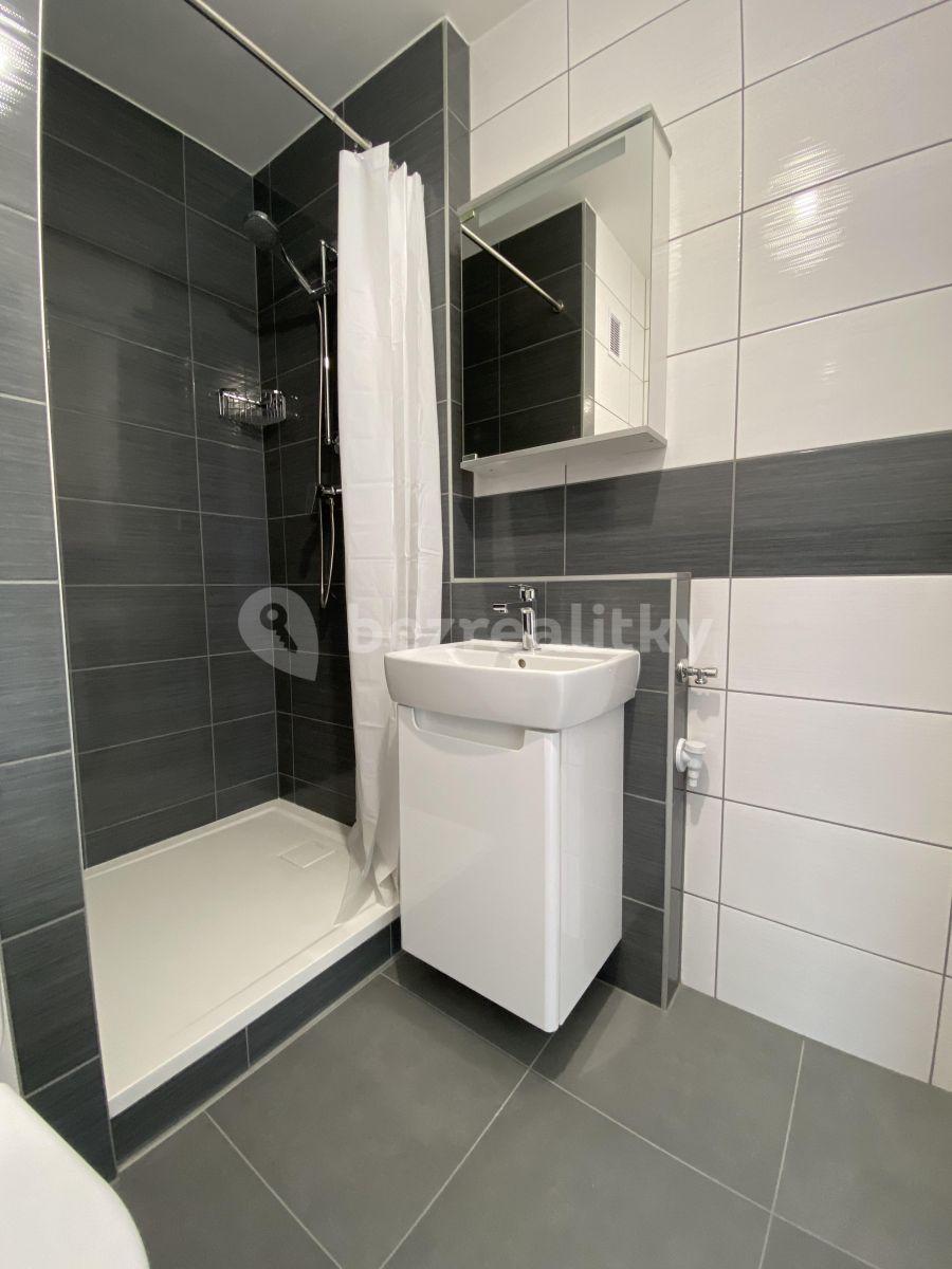 1 bedroom with open-plan kitchen flat to rent, 36 m², Sadová, Nový Bor, Liberecký Region