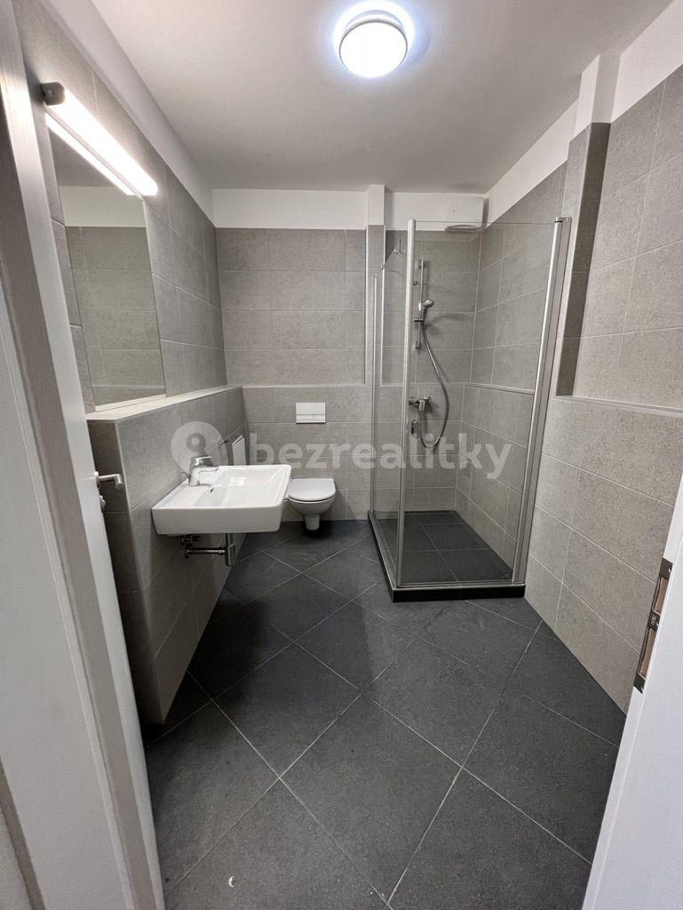 1 bedroom with open-plan kitchen flat to rent, 48 m², Františka Jansy, Prague, Prague