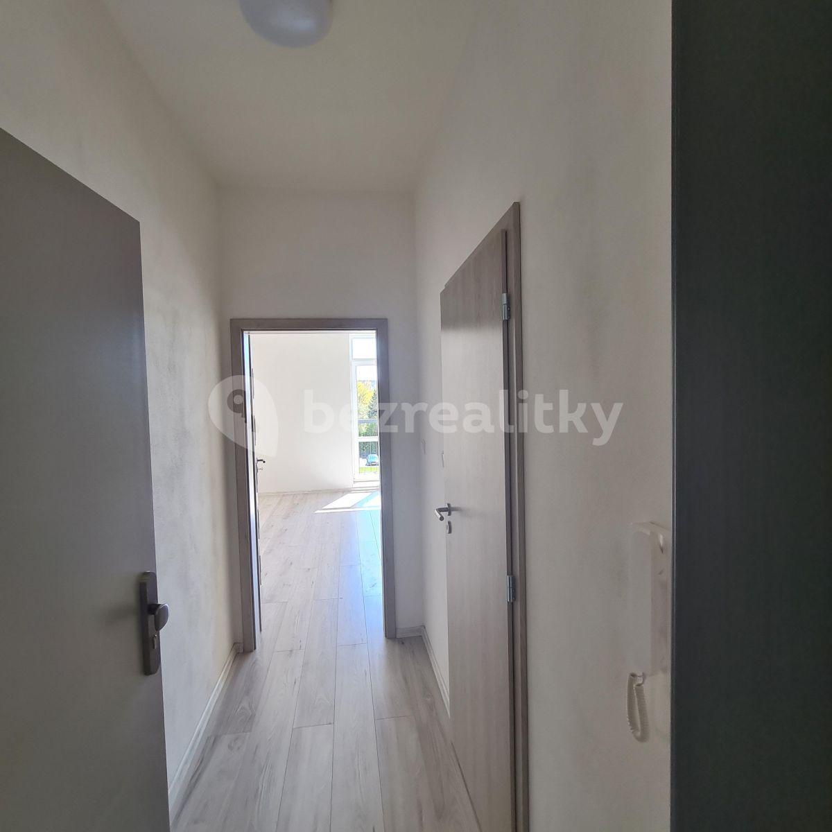 1 bedroom with open-plan kitchen flat to rent, 39 m², Slepá, Milovice, Středočeský Region