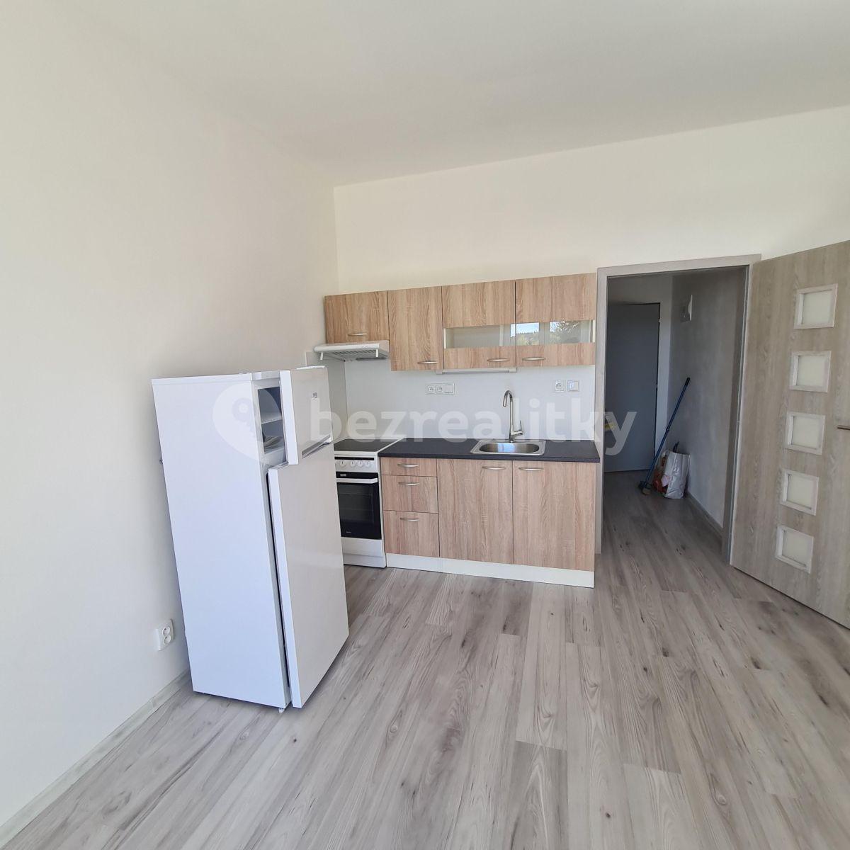 1 bedroom with open-plan kitchen flat to rent, 39 m², Slepá, Milovice, Středočeský Region