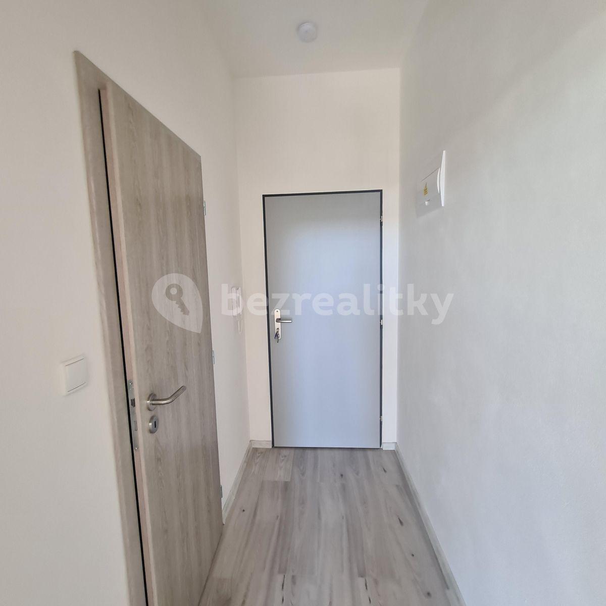 1 bedroom with open-plan kitchen flat to rent, 39 m², Slepá, Milovice, Středočeský Region