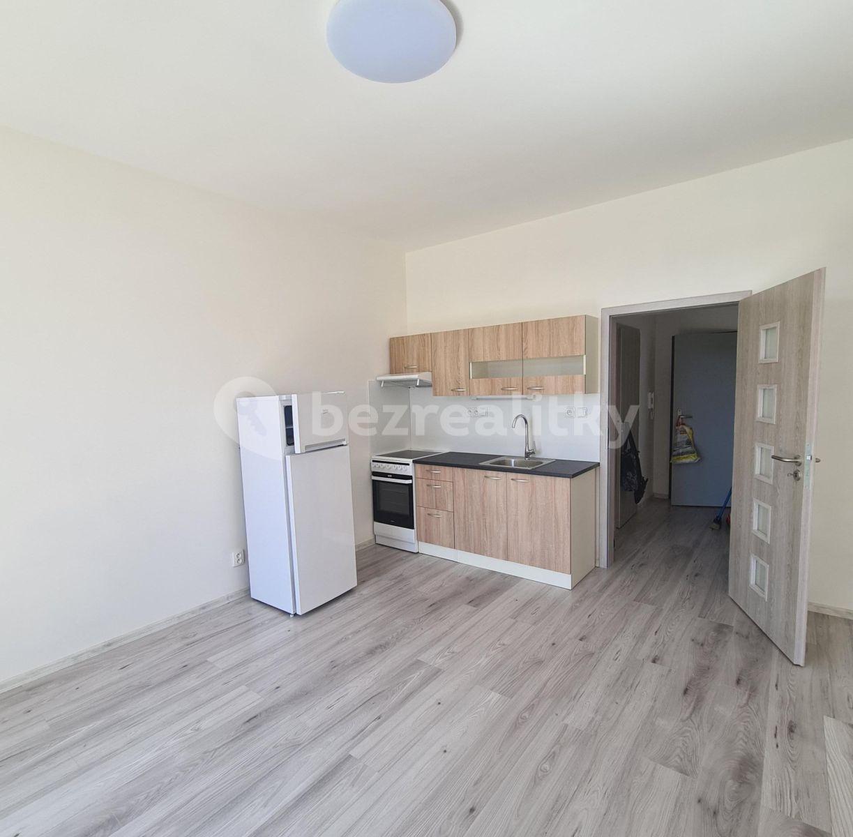 1 bedroom with open-plan kitchen flat to rent, 39 m², Slepá, Milovice, Středočeský Region