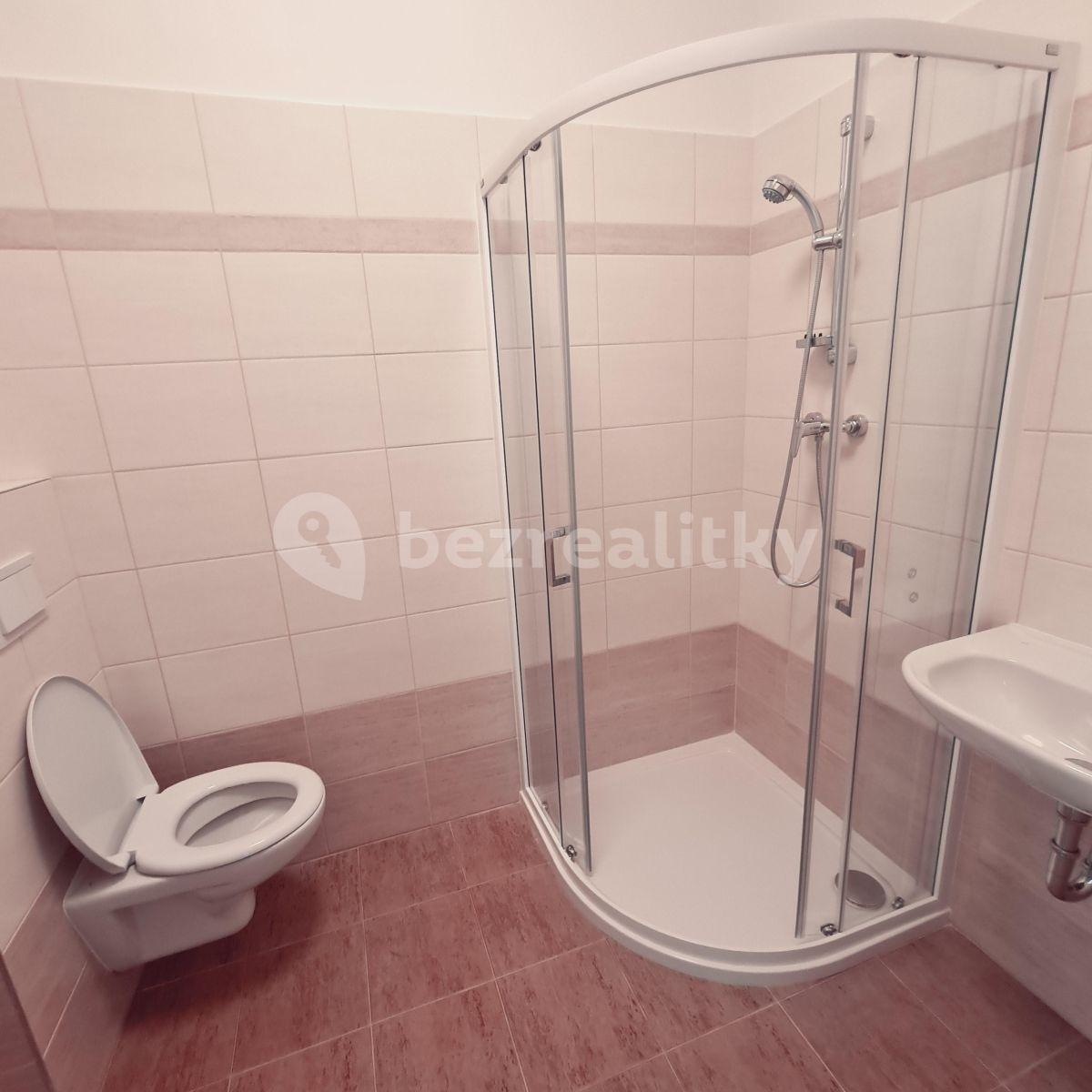 1 bedroom with open-plan kitchen flat to rent, 39 m², Slepá, Milovice, Středočeský Region