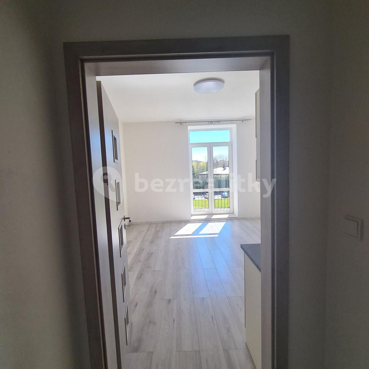 1 bedroom with open-plan kitchen flat to rent, 39 m², Slepá, Milovice, Středočeský Region