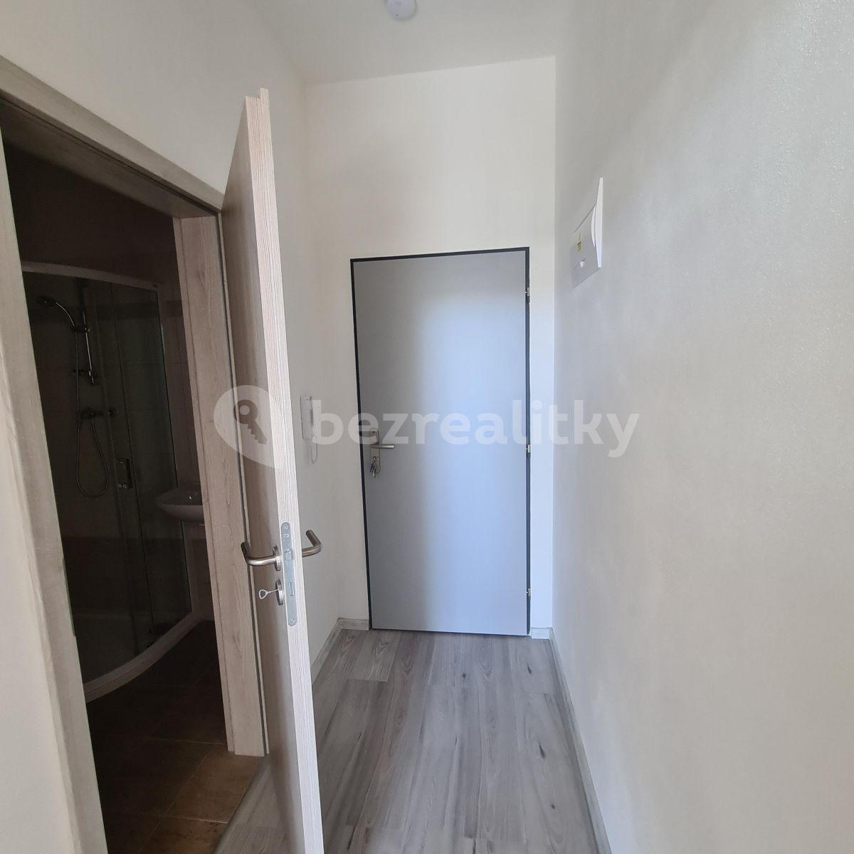 1 bedroom with open-plan kitchen flat to rent, 39 m², Slepá, Milovice, Středočeský Region