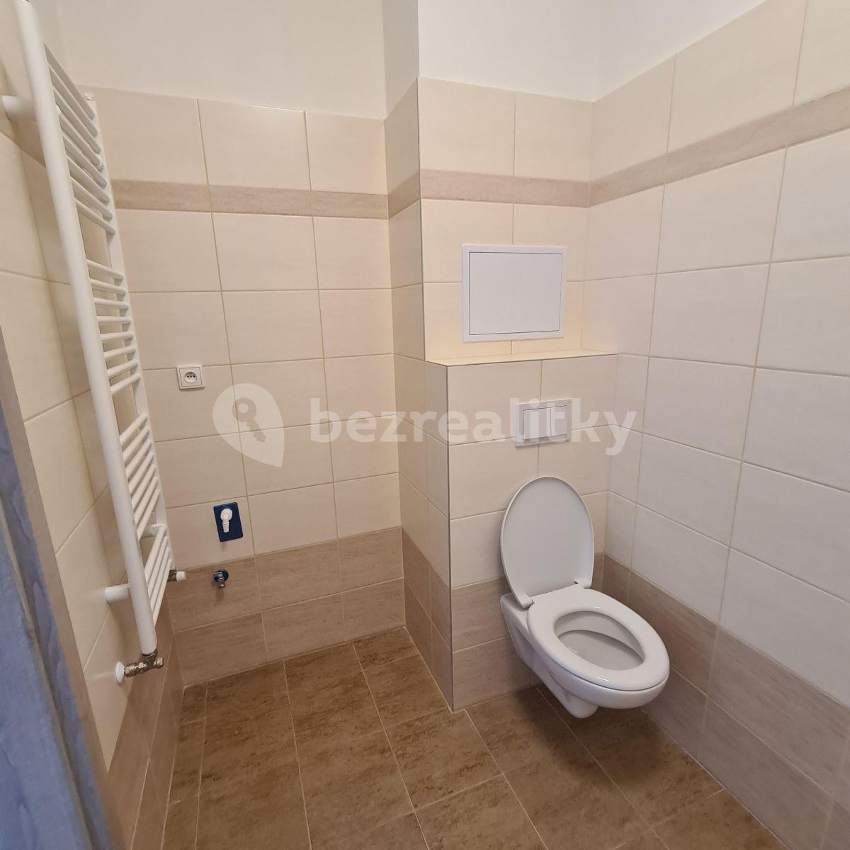 1 bedroom with open-plan kitchen flat to rent, 39 m², Slepá, Milovice, Středočeský Region