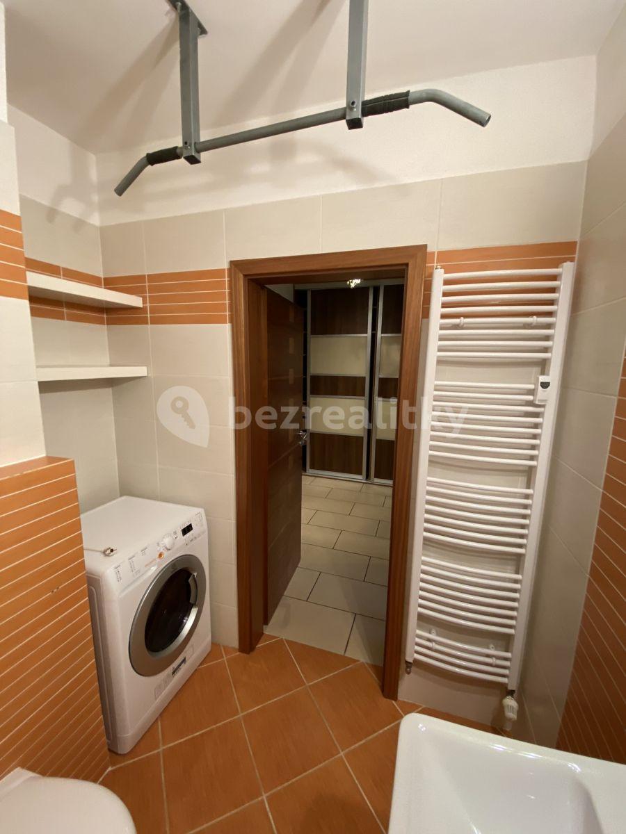 Studio flat to rent, 54 m², Litoměřická, Prague, Prague