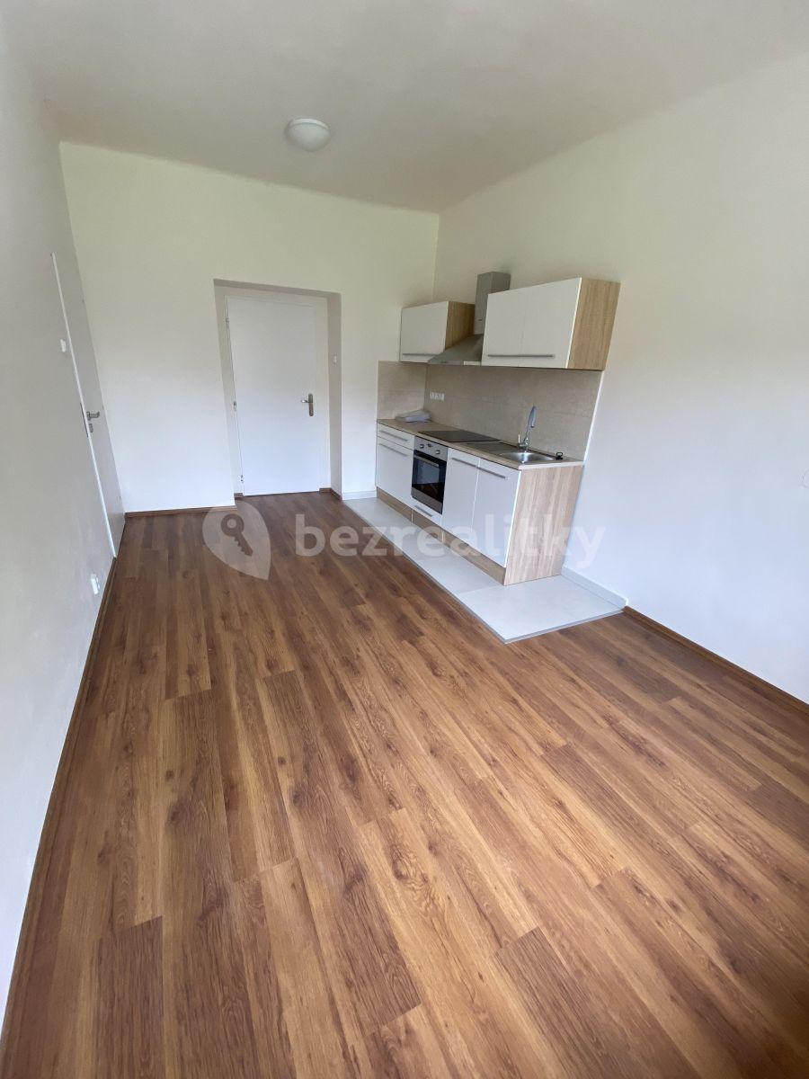 1 bedroom with open-plan kitchen flat to rent, 48 m², Havlíčkova, Roudnice nad Labem, Ústecký Region