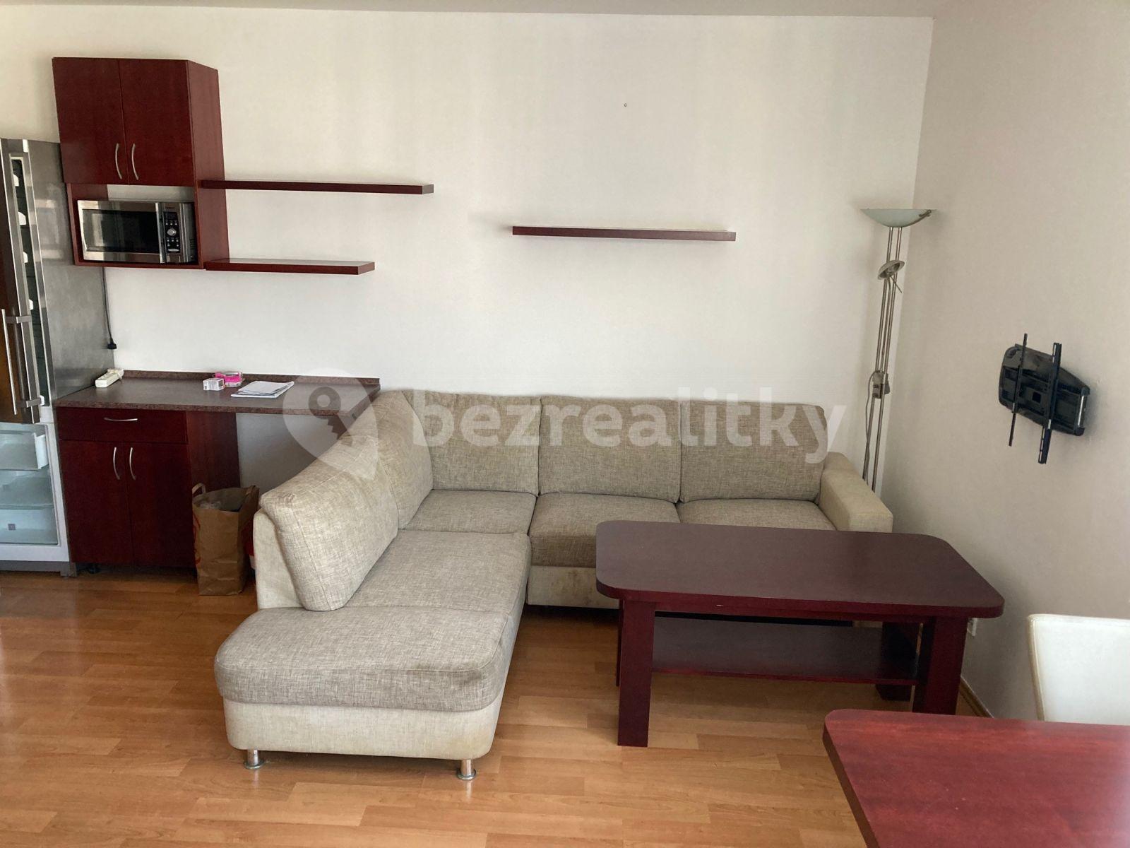 Studio flat to rent, 35 m², U Ctěnického Potoka, Přezletice, Středočeský Region