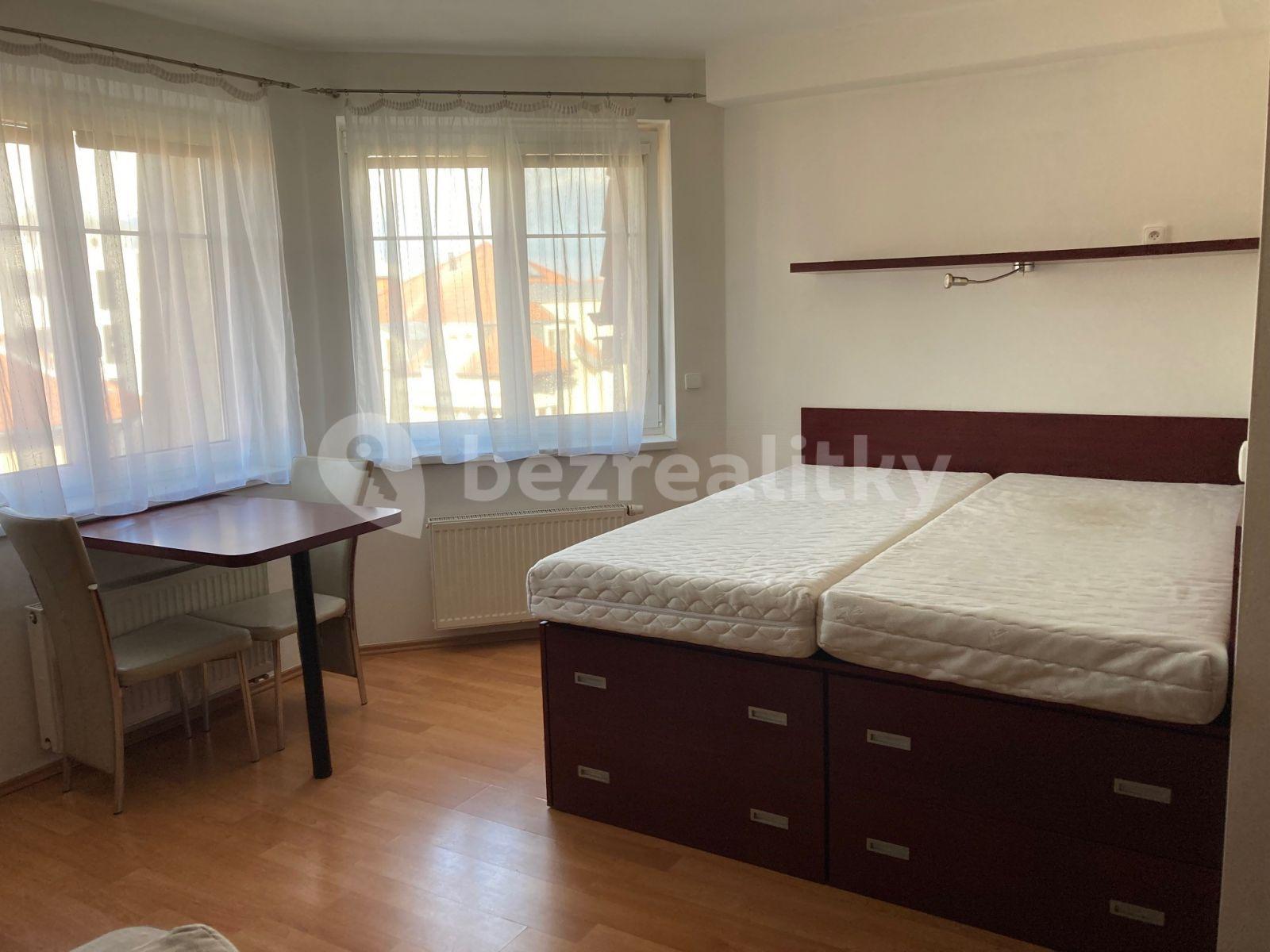 Studio flat to rent, 35 m², U Ctěnického Potoka, Přezletice, Středočeský Region