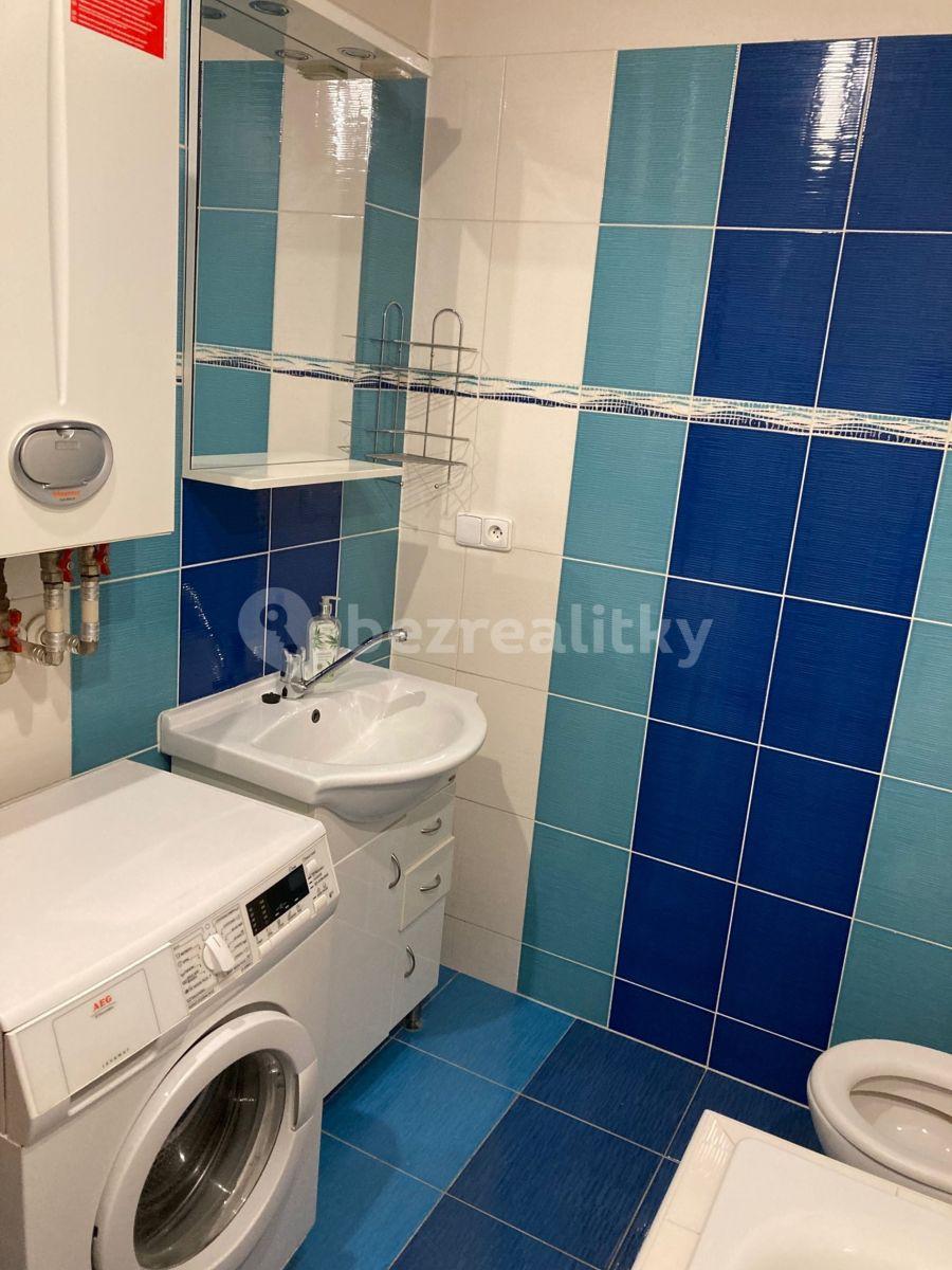 Studio flat to rent, 35 m², U Ctěnického Potoka, Přezletice, Středočeský Region