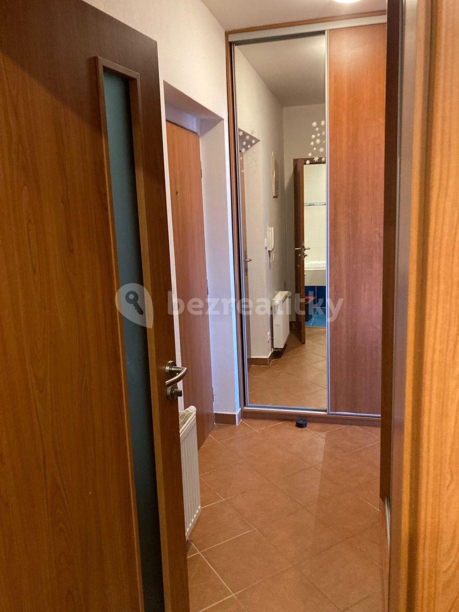 Studio flat to rent, 35 m², U Ctěnického Potoka, Přezletice, Středočeský Region