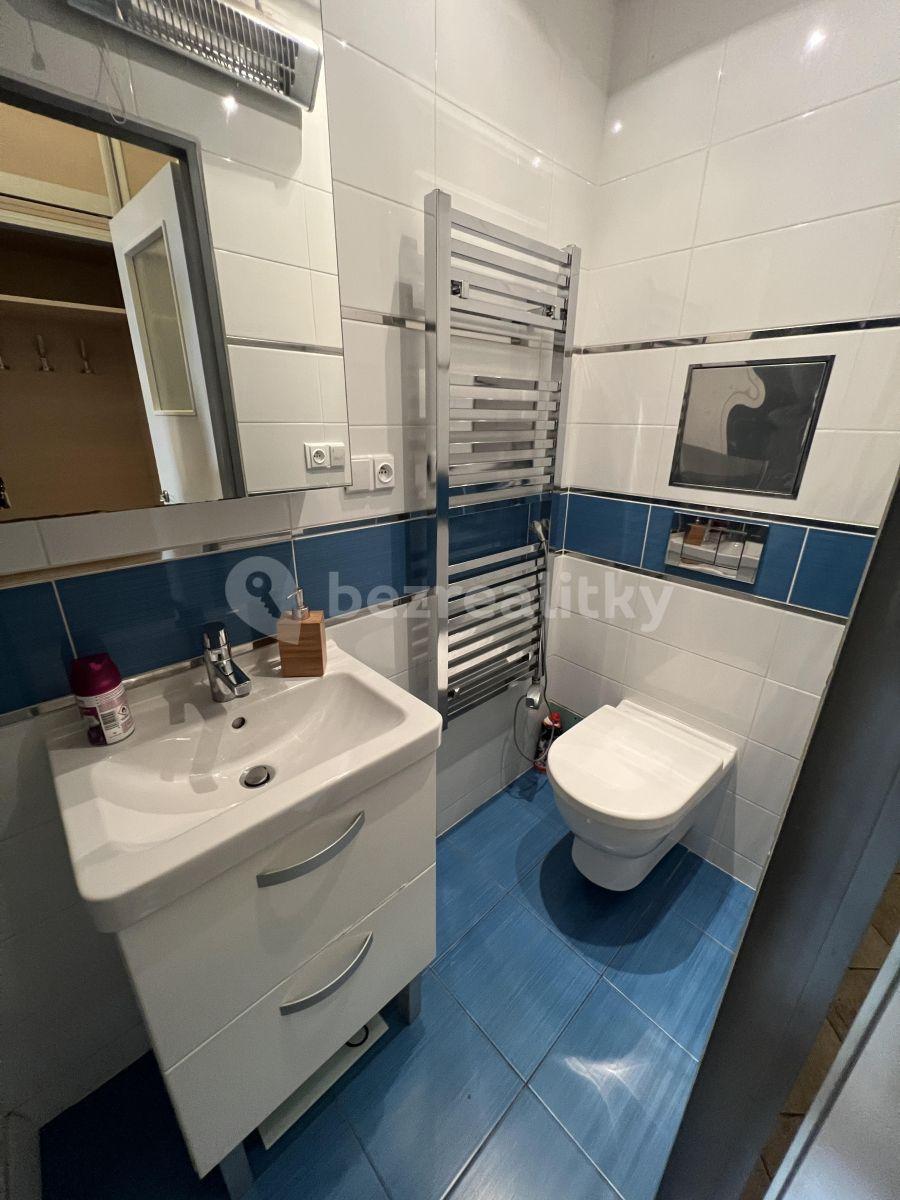 Studio flat to rent, 46 m², Haštalská, Prague, Prague