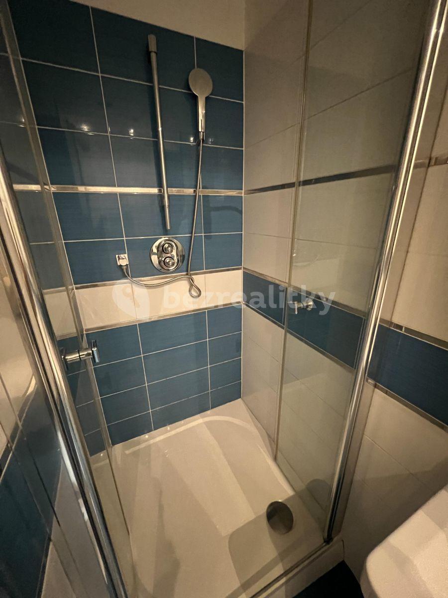 Studio flat to rent, 46 m², Haštalská, Prague, Prague