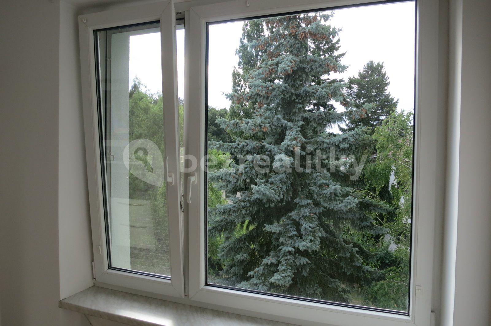 1 bedroom with open-plan kitchen flat to rent, 35 m², Nad Kesnerkou, Prague, Prague