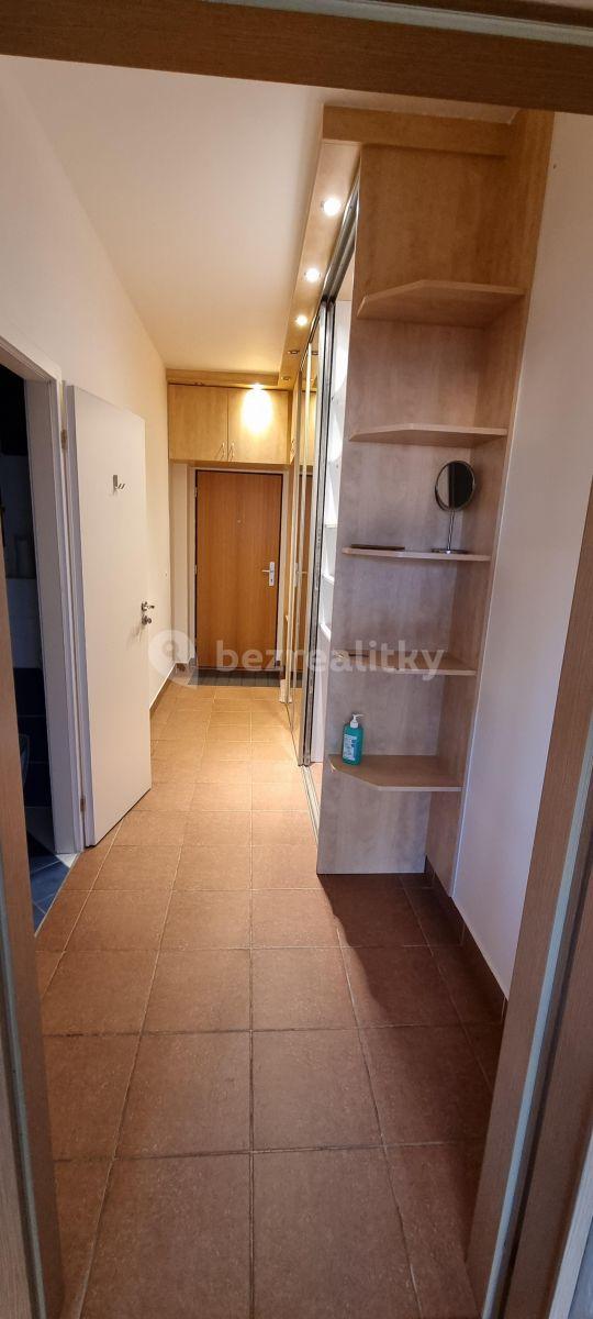 1 bedroom with open-plan kitchen flat to rent, 54 m², Lukášova, Prague, Prague