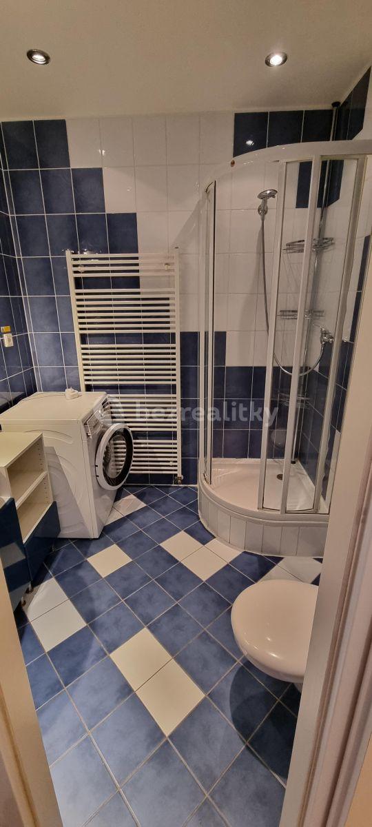 1 bedroom with open-plan kitchen flat to rent, 54 m², Lukášova, Prague, Prague