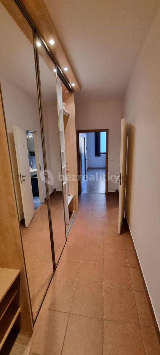 1 bedroom with open-plan kitchen flat to rent, 54 m², Lukášova, Prague, Prague