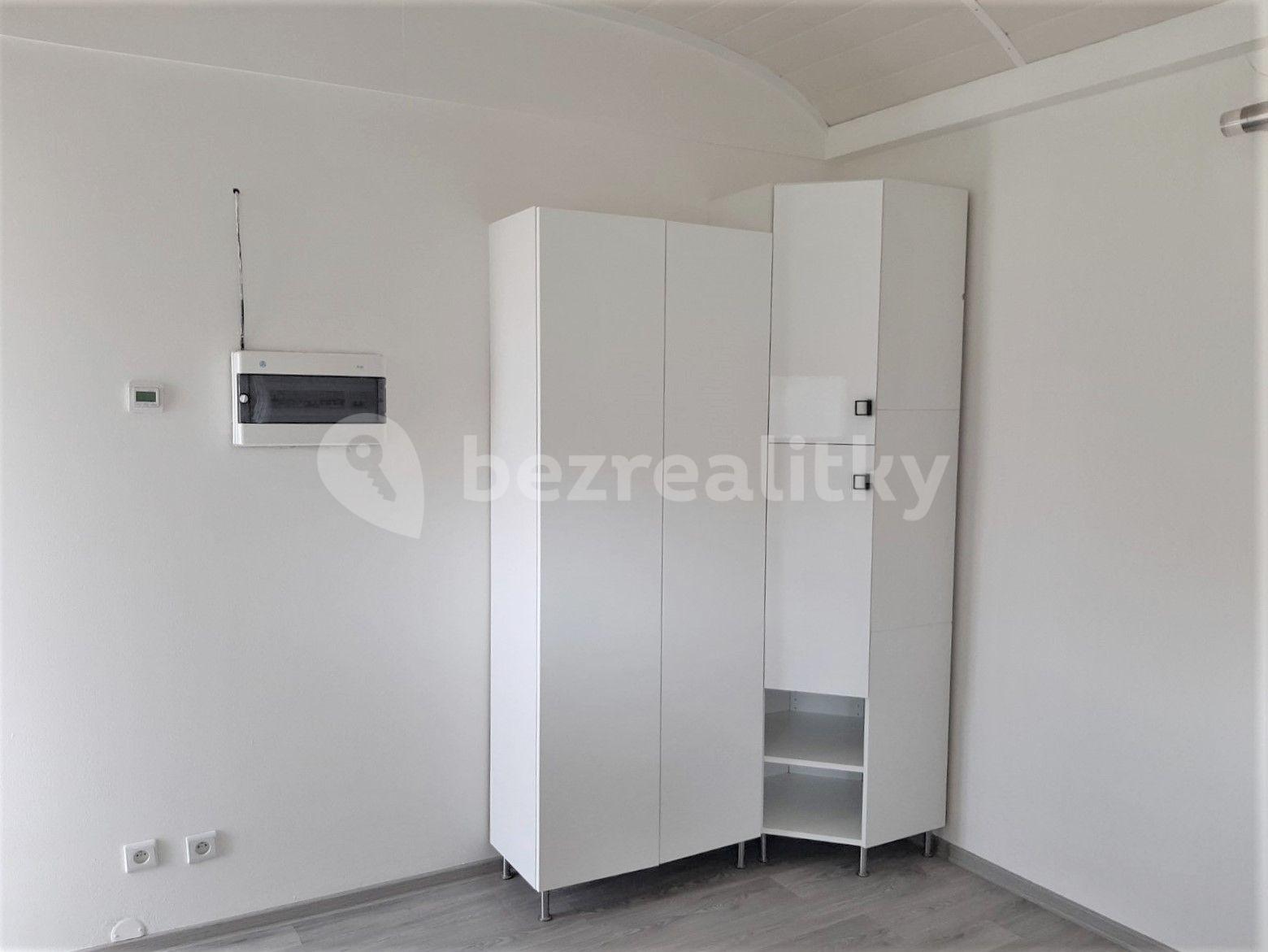 1 bedroom with open-plan kitchen flat to rent, 45 m², U Stojanu, Prague, Prague