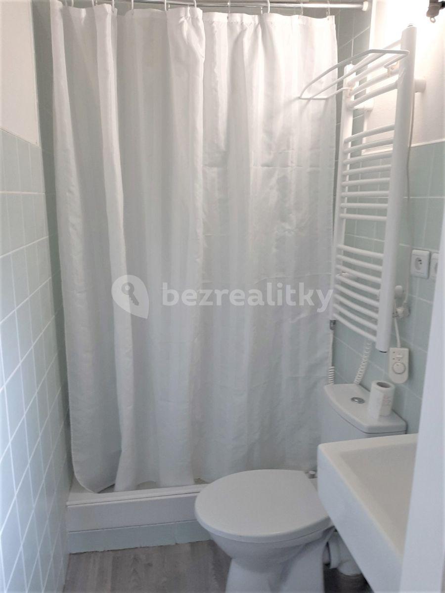 1 bedroom with open-plan kitchen flat to rent, 45 m², U Stojanu, Prague, Prague