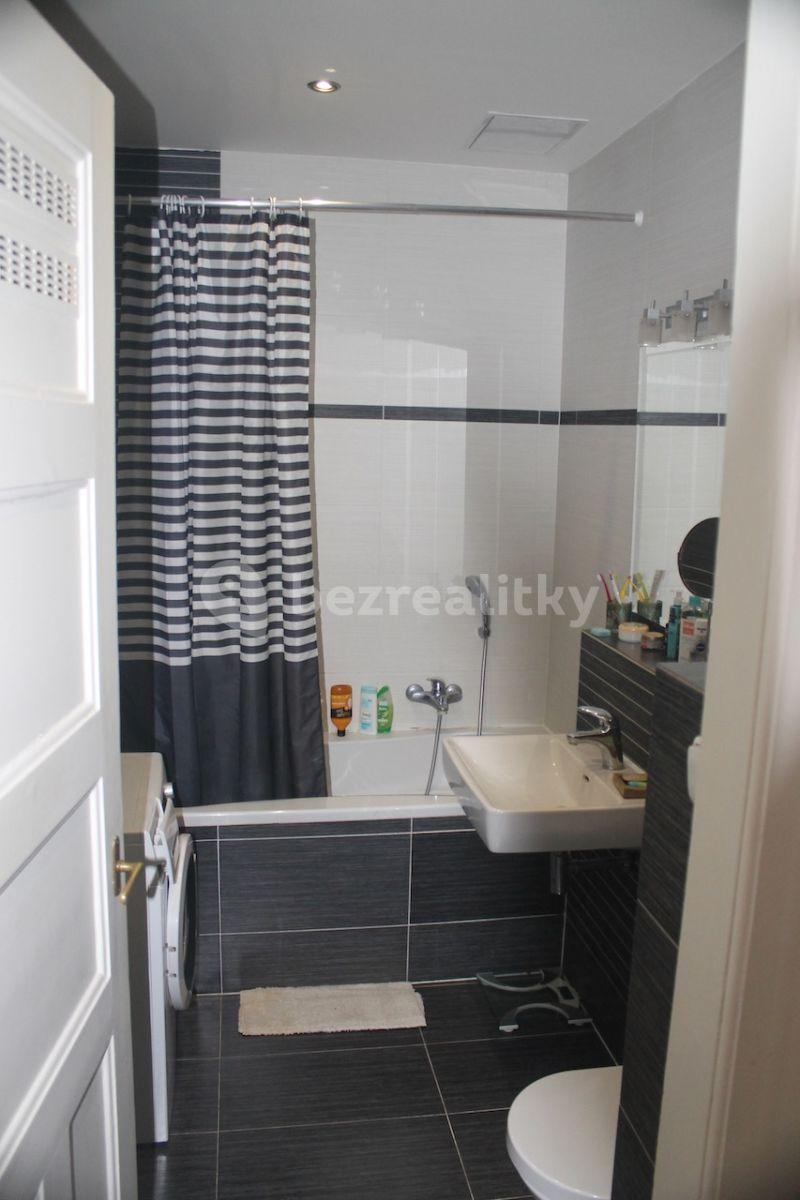 1 bedroom with open-plan kitchen flat to rent, 58 m², Jilemnického, Prague, Prague