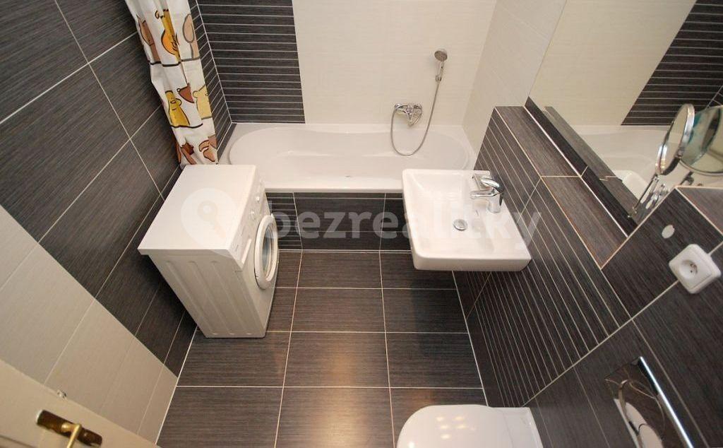 1 bedroom with open-plan kitchen flat to rent, 58 m², Jilemnického, Prague, Prague