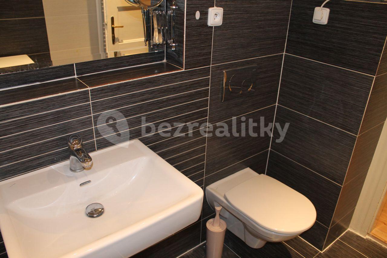 1 bedroom with open-plan kitchen flat to rent, 58 m², Jilemnického, Prague, Prague