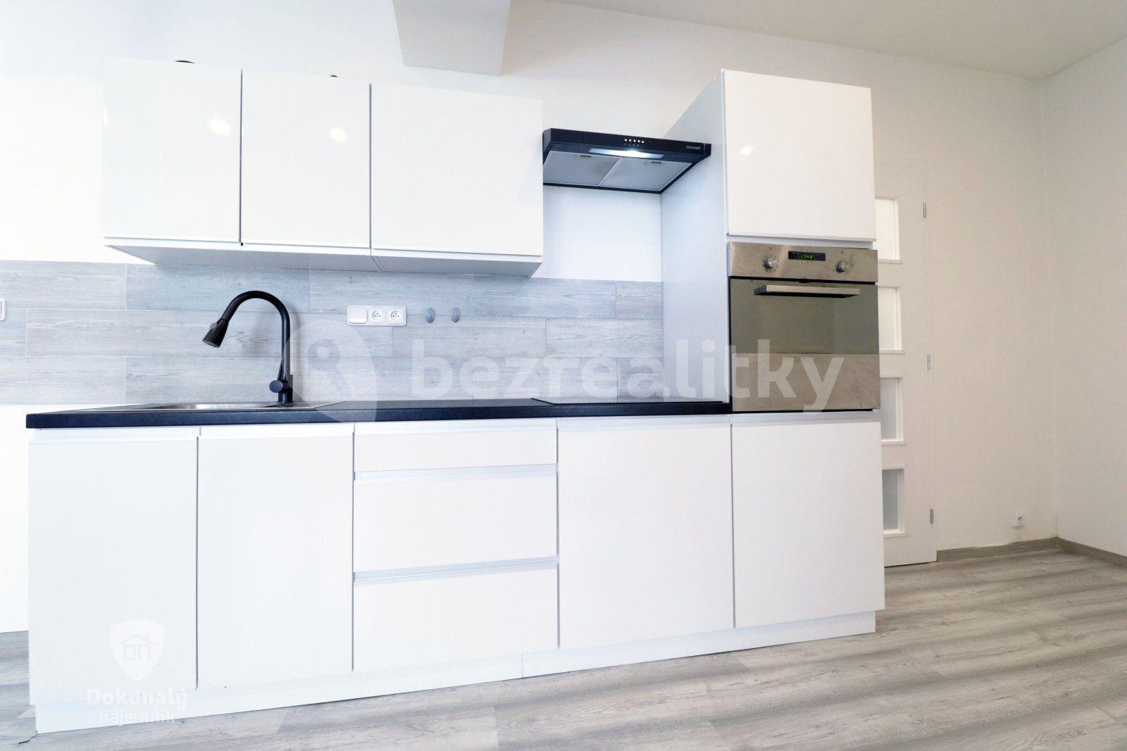 1 bedroom with open-plan kitchen flat to rent, 58 m², Koterovská, Plzeň, Plzeňský Region