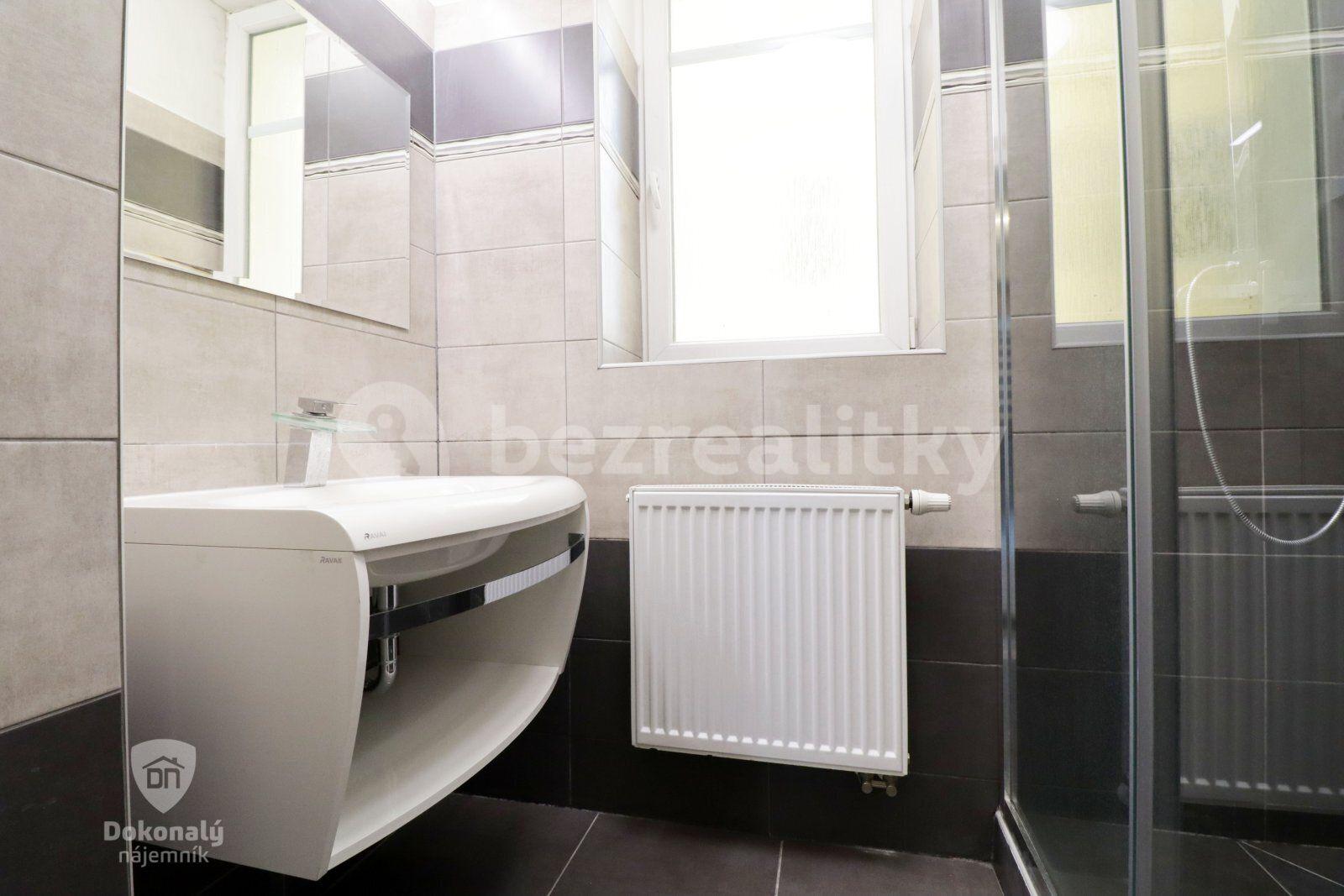 1 bedroom with open-plan kitchen flat to rent, 58 m², Koterovská, Plzeň, Plzeňský Region