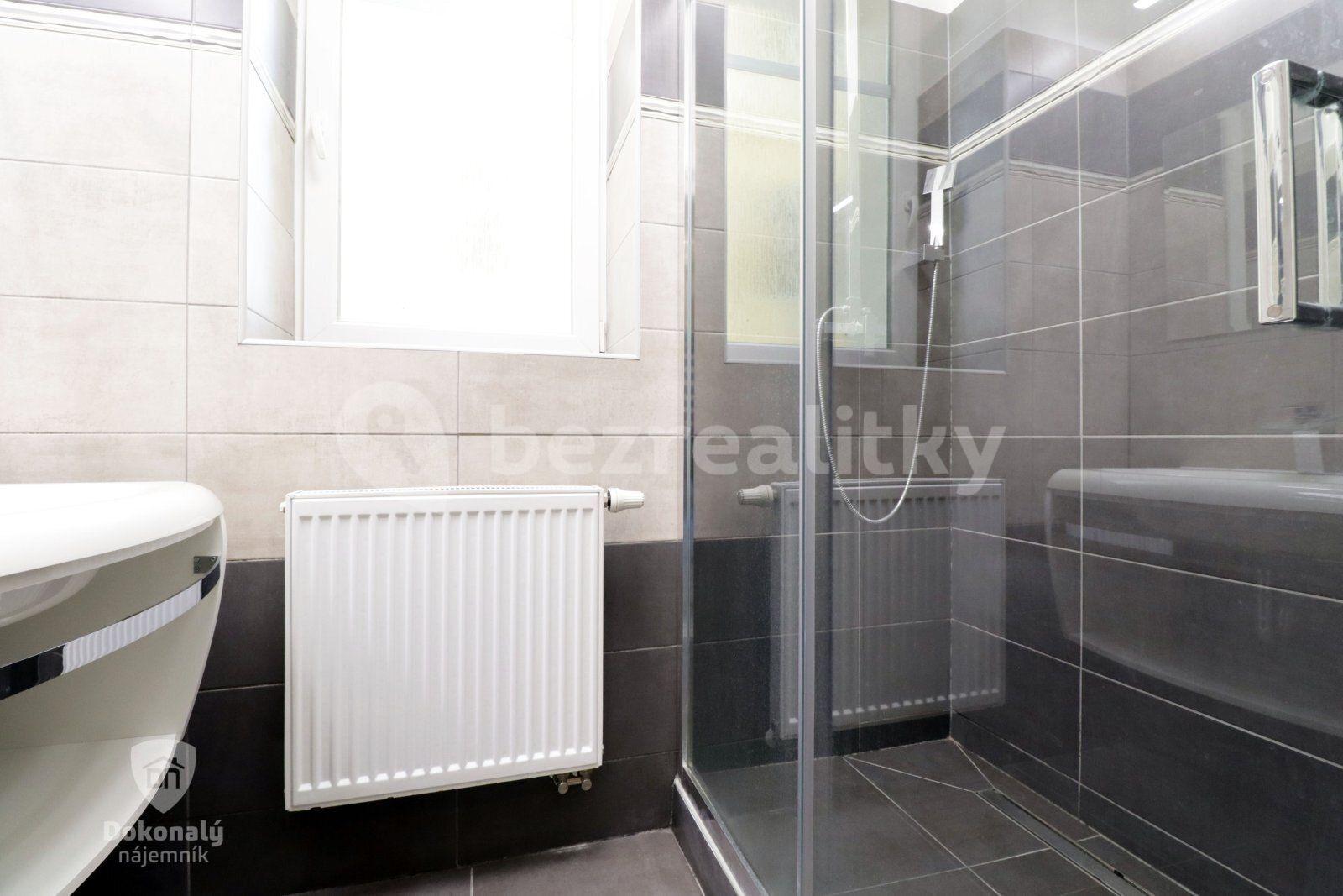 1 bedroom with open-plan kitchen flat to rent, 58 m², Koterovská, Plzeň, Plzeňský Region