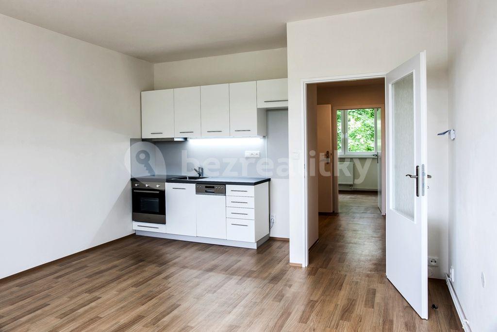 1 bedroom with open-plan kitchen flat to rent, 53 m², Hodkovická, Liberec, Liberecký Region