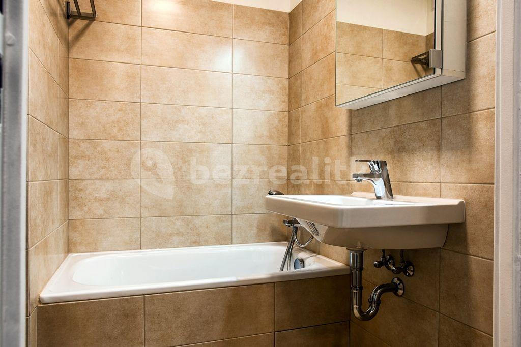 1 bedroom with open-plan kitchen flat to rent, 53 m², Hodkovická, Liberec, Liberecký Region