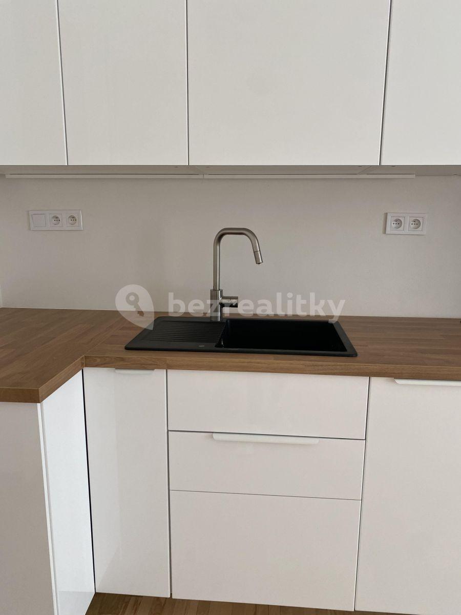 1 bedroom with open-plan kitchen flat to rent, 56 m², Růžová, Prague, Prague