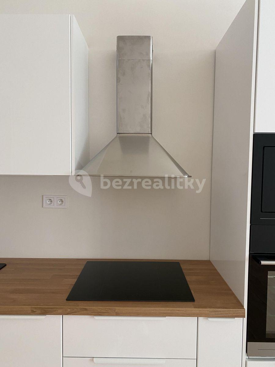 1 bedroom with open-plan kitchen flat to rent, 56 m², Růžová, Prague, Prague