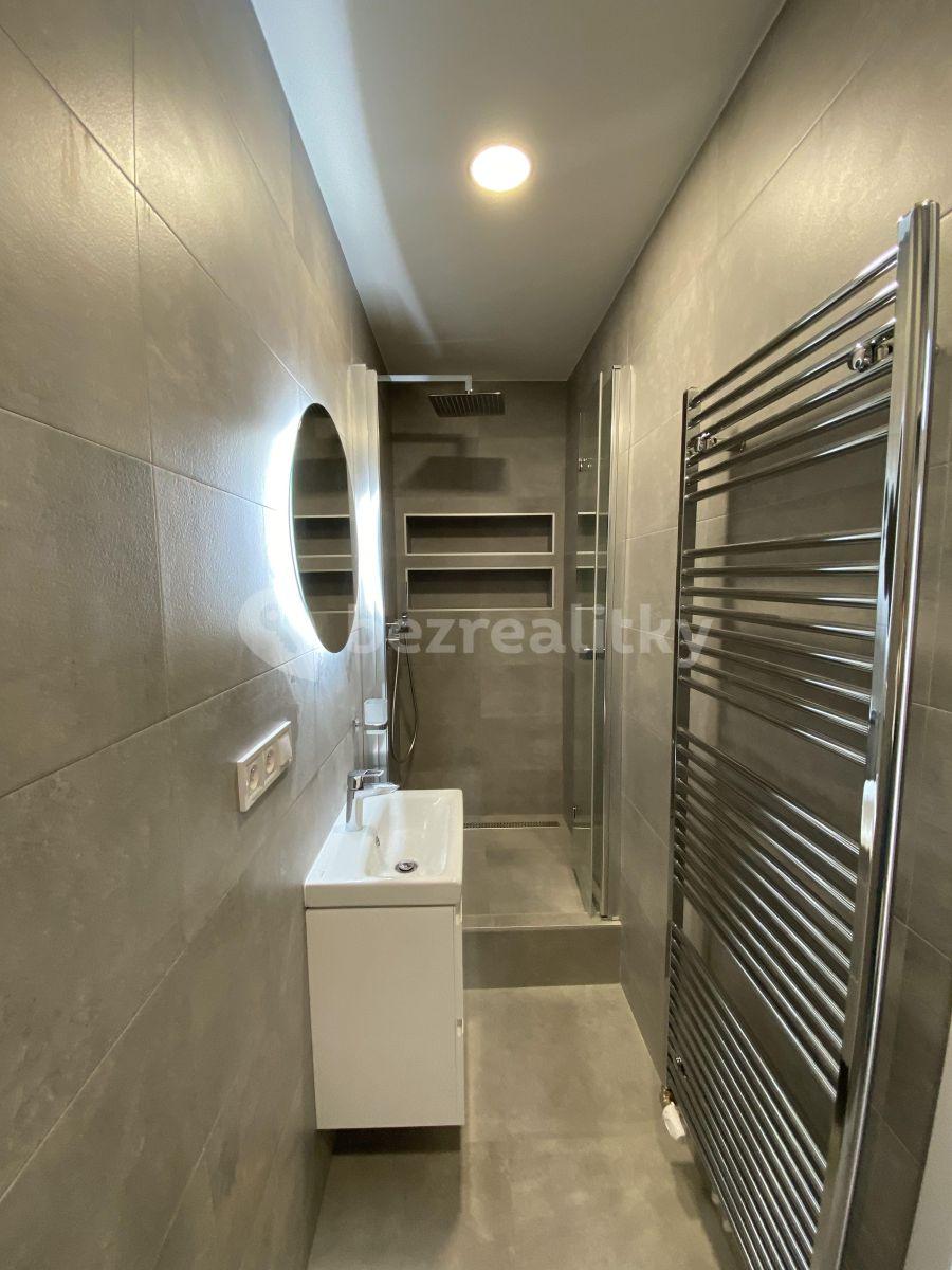 1 bedroom with open-plan kitchen flat to rent, 56 m², Růžová, Prague, Prague