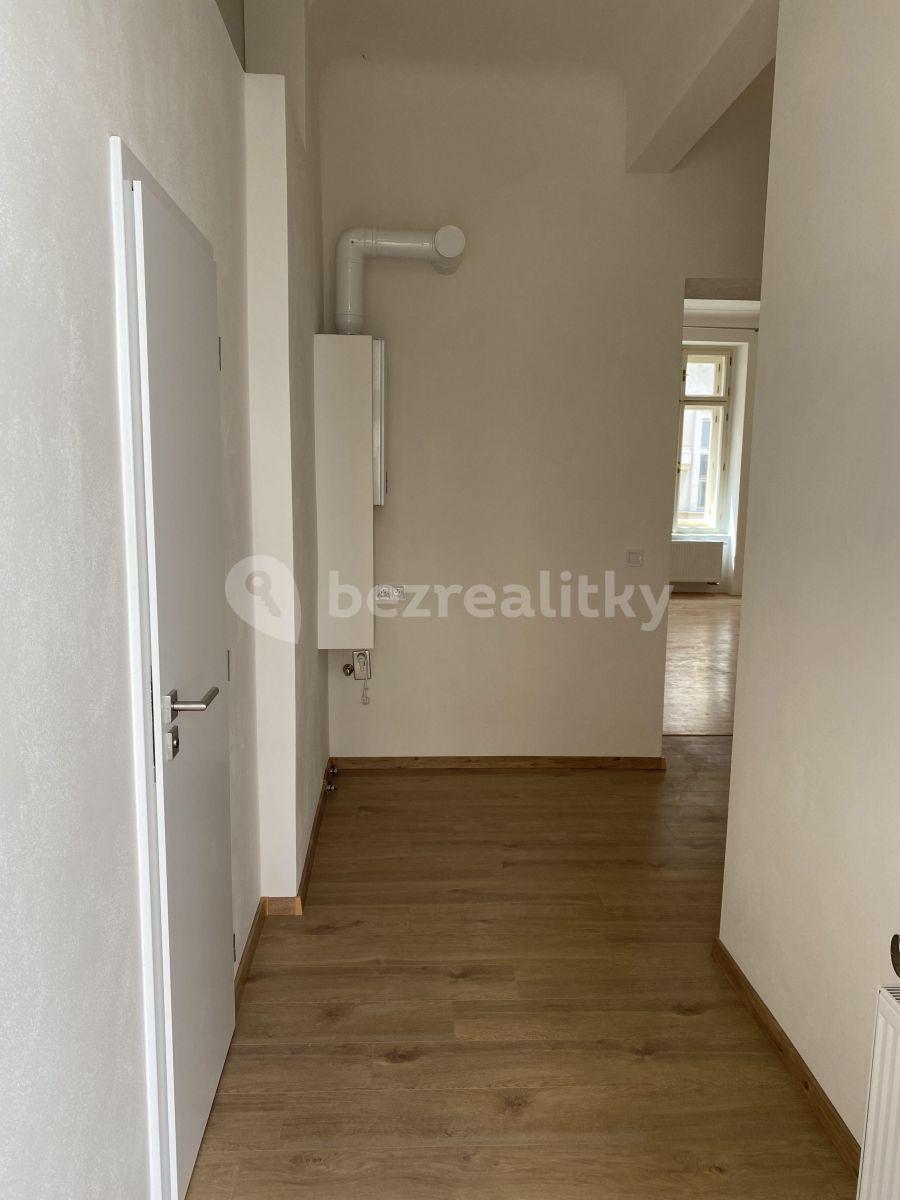 1 bedroom with open-plan kitchen flat to rent, 56 m², Růžová, Prague, Prague