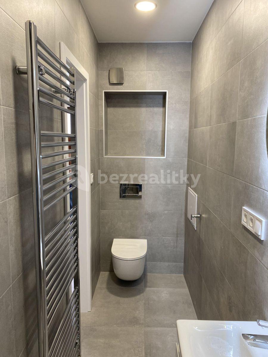 1 bedroom with open-plan kitchen flat to rent, 56 m², Růžová, Prague, Prague