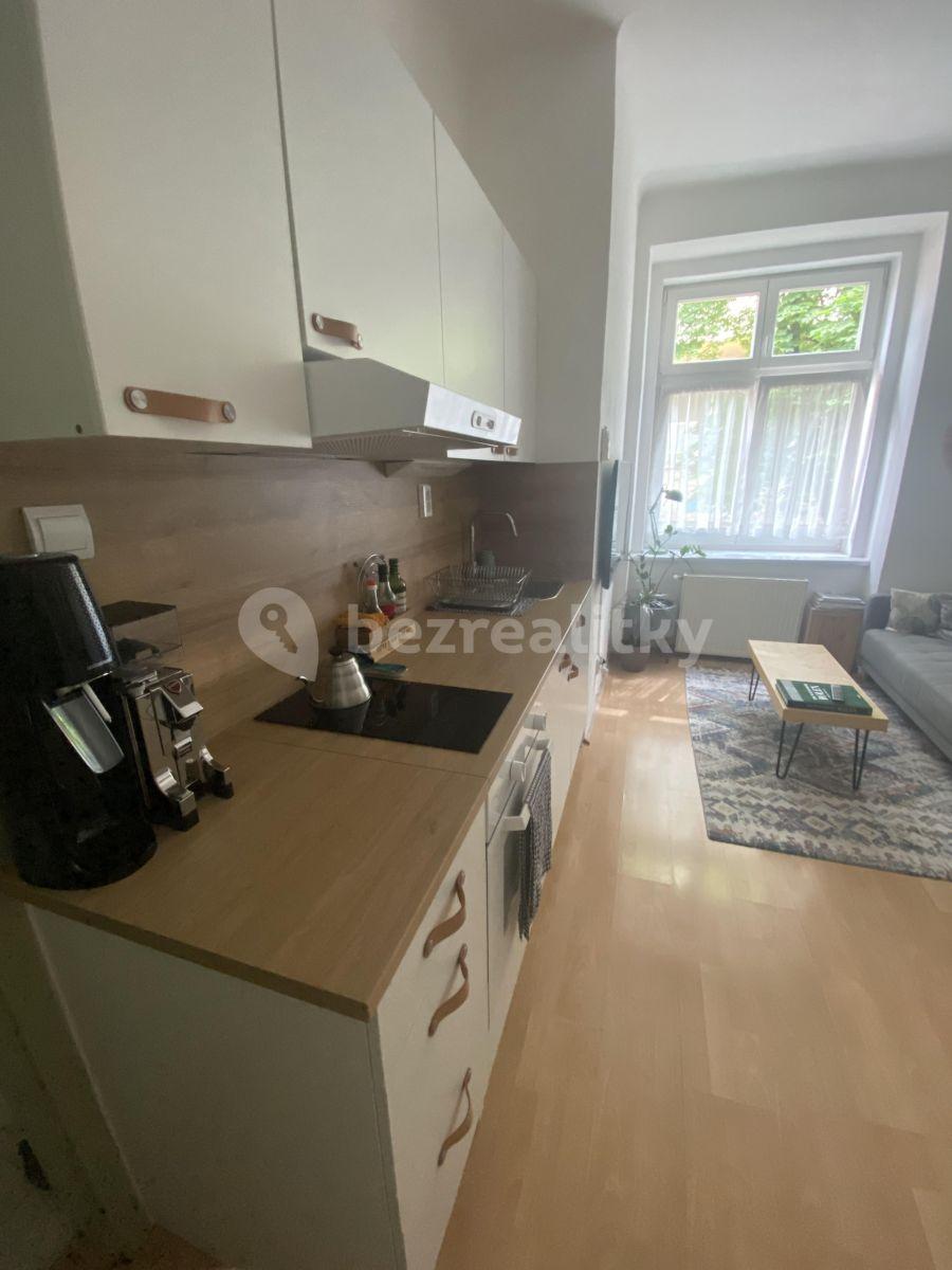 1 bedroom with open-plan kitchen flat to rent, 40 m², Dačického, Prague, Prague