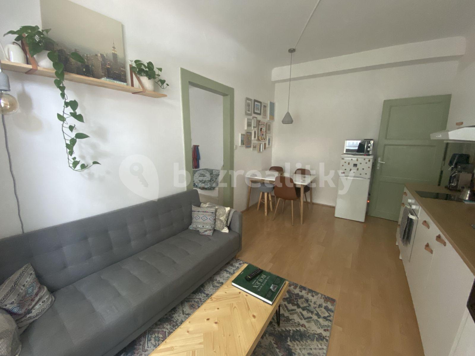 1 bedroom with open-plan kitchen flat to rent, 40 m², Dačického, Prague, Prague