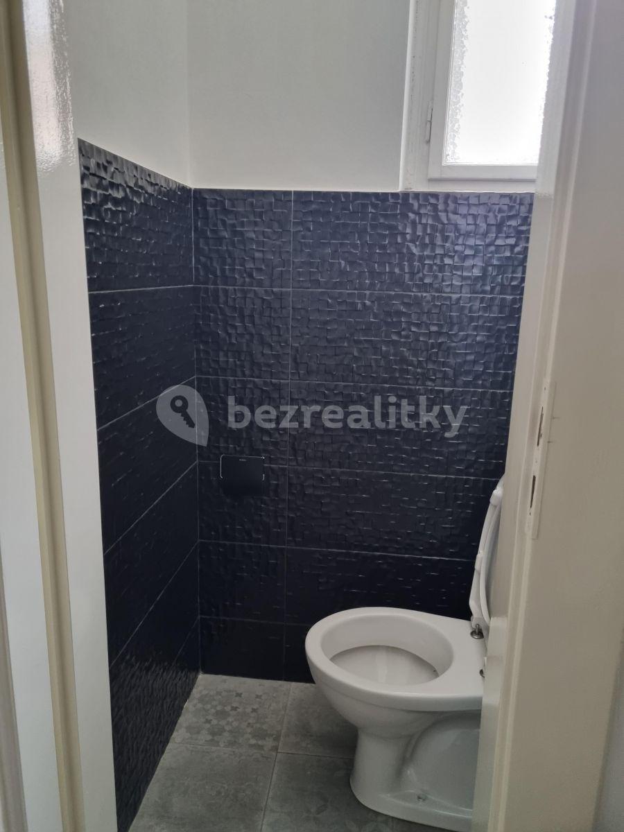 Small studio flat to rent, 42 m², Podhorská, Prague, Prague