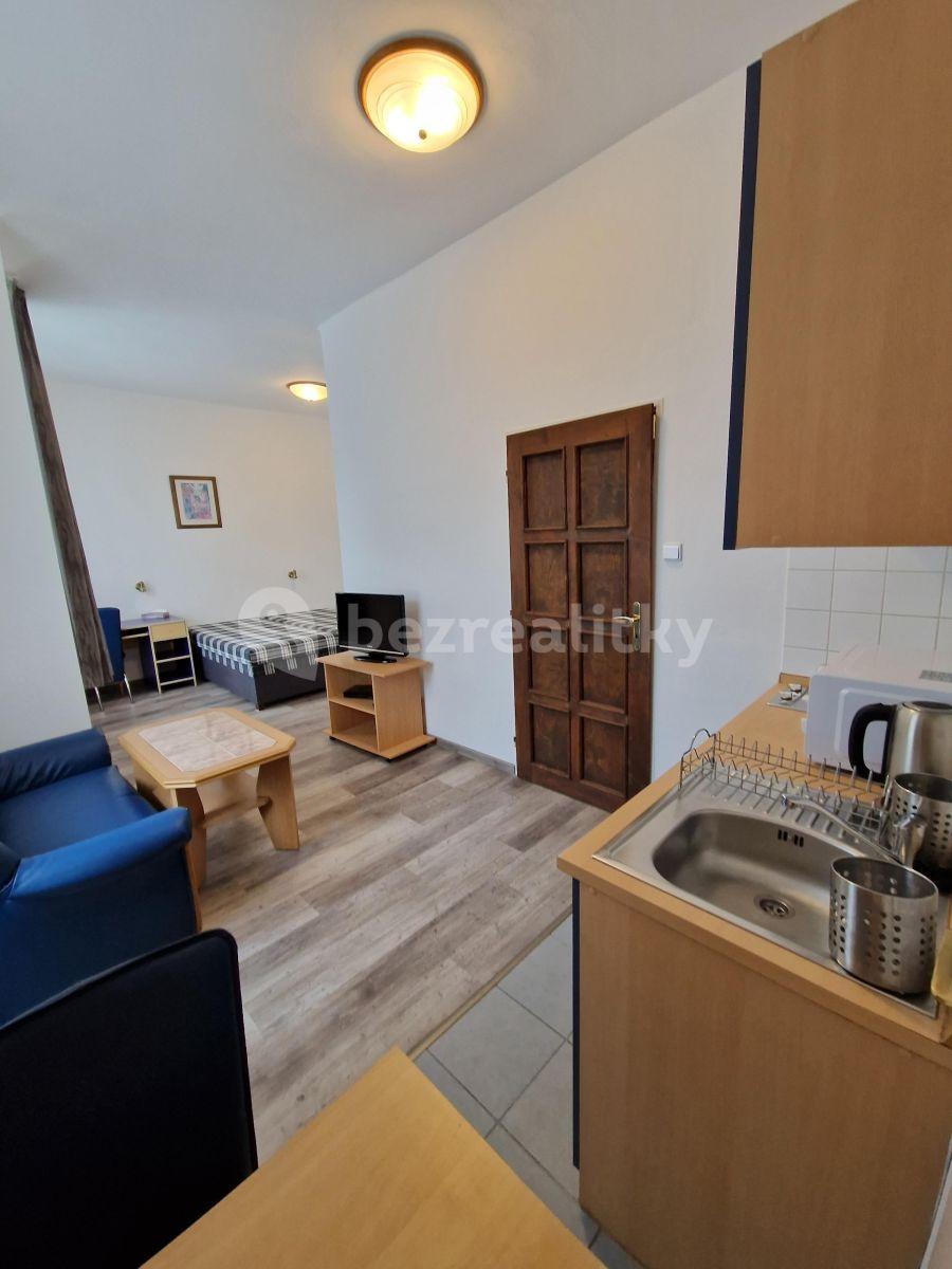 Studio flat to rent, 26 m², Vratislavova, Prague, Prague