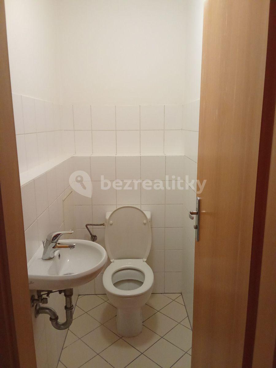 1 bedroom with open-plan kitchen flat to rent, 55 m², Kotlářka, Prague, Prague