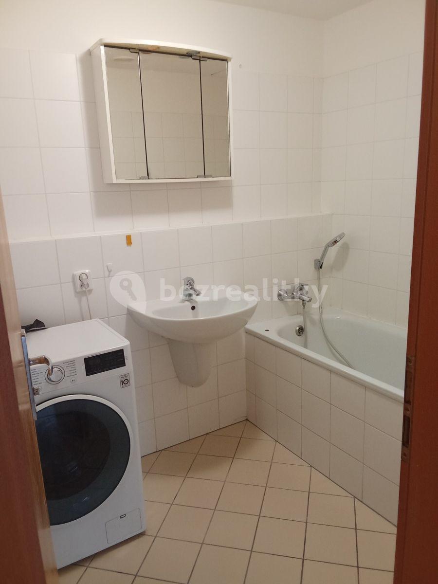 1 bedroom with open-plan kitchen flat to rent, 55 m², Kotlářka, Prague, Prague