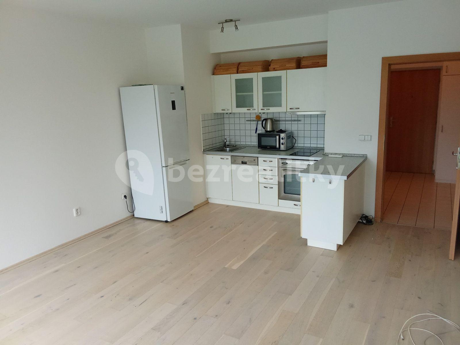 1 bedroom with open-plan kitchen flat to rent, 55 m², Kotlářka, Prague, Prague