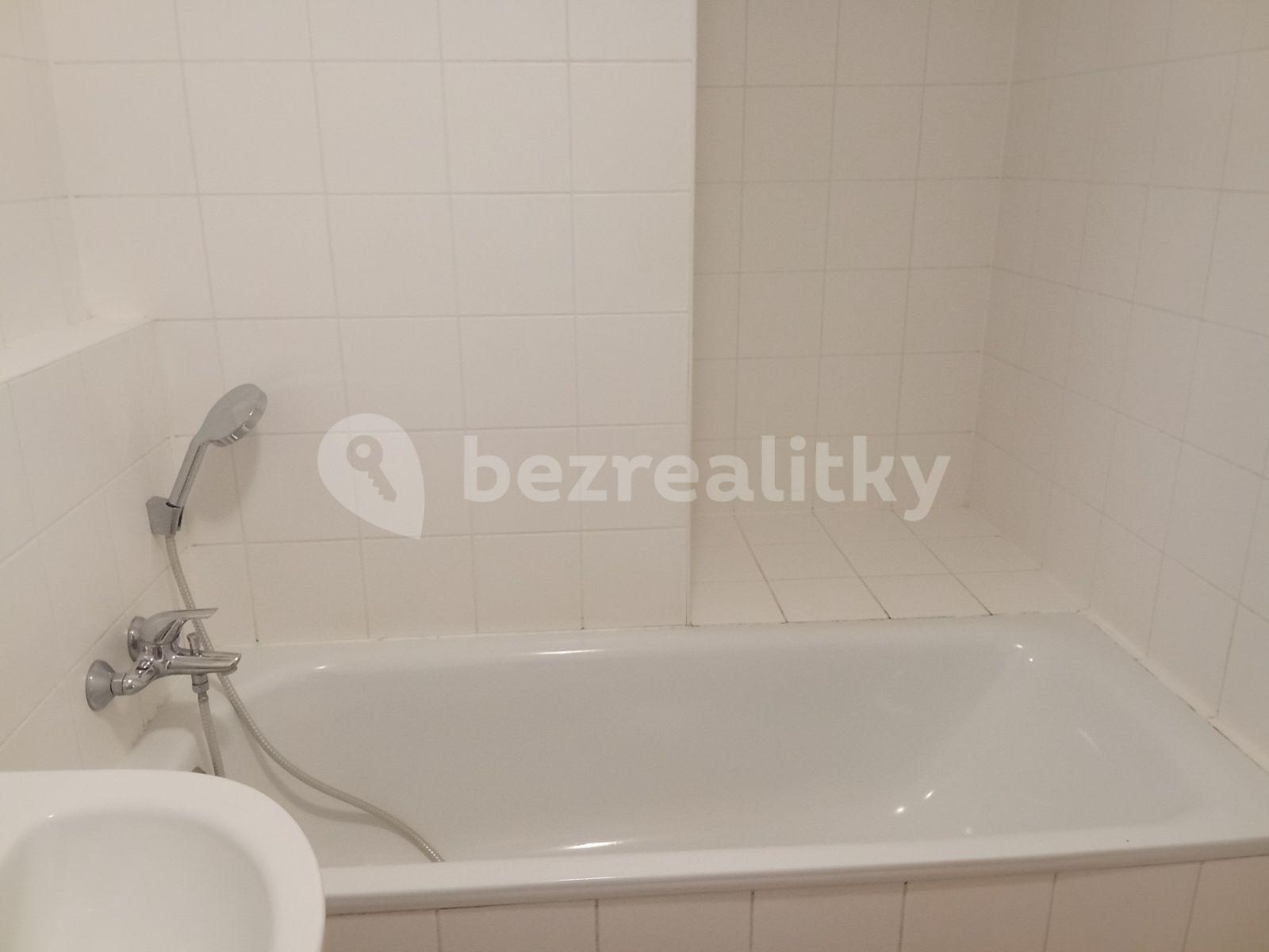 1 bedroom with open-plan kitchen flat to rent, 55 m², Kotlářka, Prague, Prague