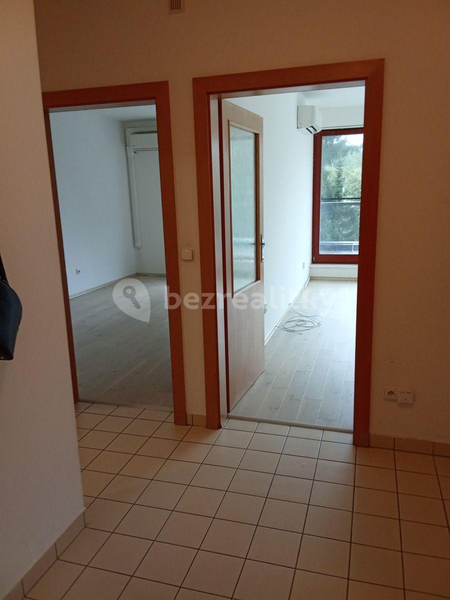 1 bedroom with open-plan kitchen flat to rent, 55 m², Kotlářka, Prague, Prague