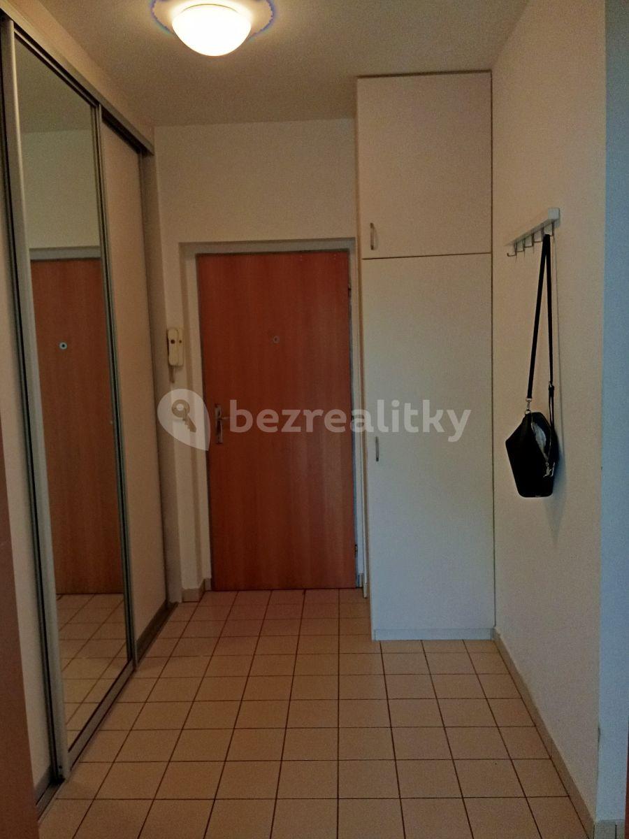 1 bedroom with open-plan kitchen flat to rent, 55 m², Kotlářka, Prague, Prague