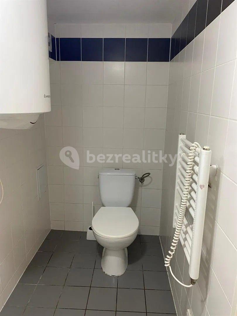 Studio flat to rent, 18 m², Václavská, Brno, Jihomoravský Region