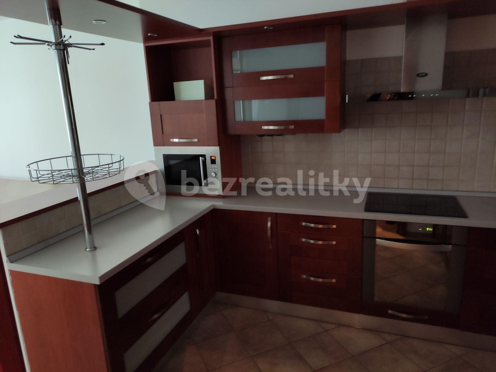 1 bedroom with open-plan kitchen flat to rent, 56 m², U Družstva Život, Prague, Prague